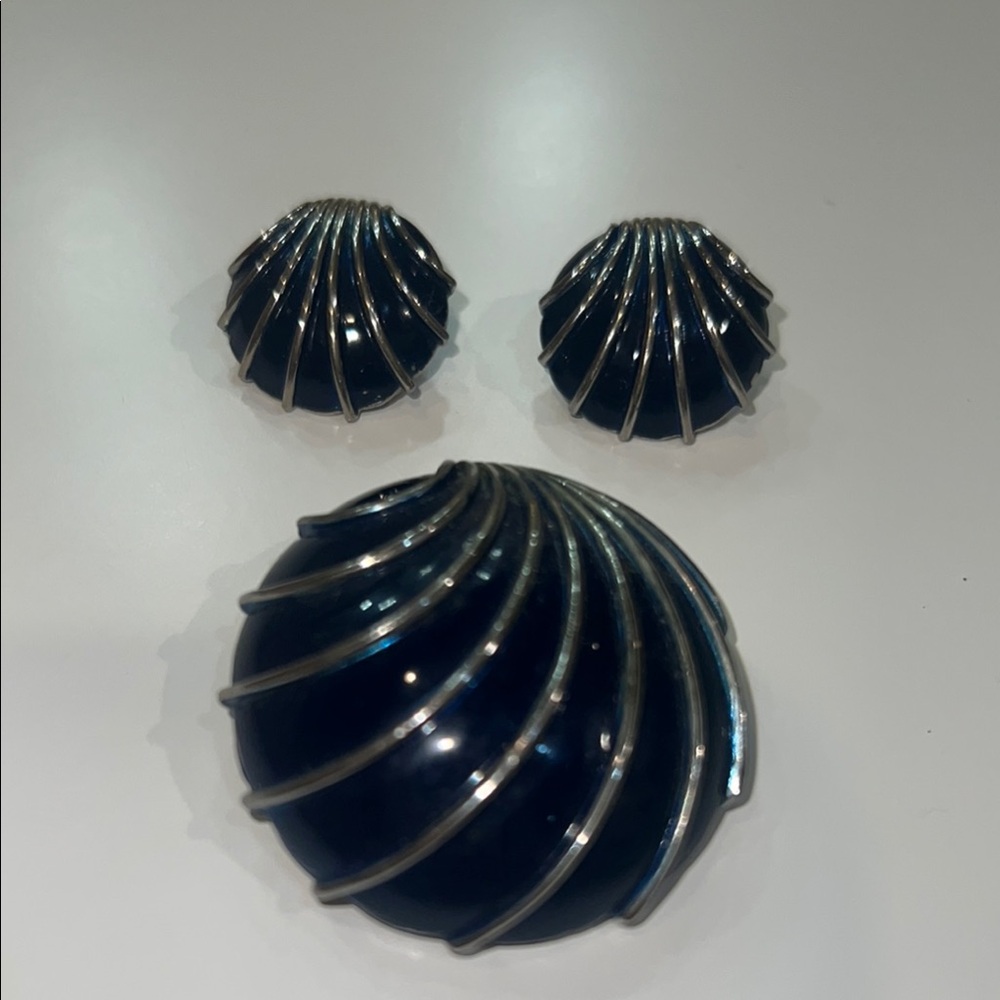 Elegant Black and Silver Brooch and Earring Set